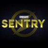 CrossFit Sentry