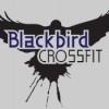 Blackbird CrossFit