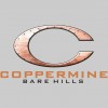 Coppermine Racquet & Fitness Club