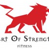 Art Of Strength Fitness