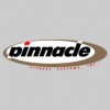 Pinnacle Fitness Systems